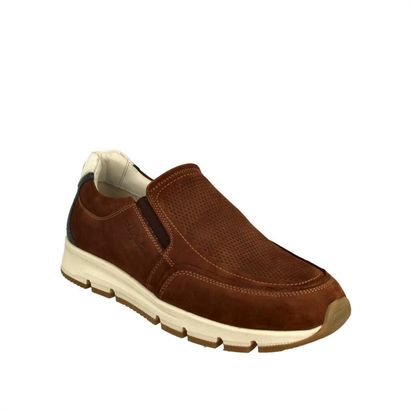 Australian Eagle 15.1609.01 D21 Cognac