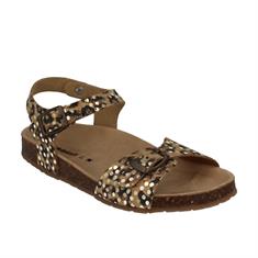 Braqeez 422412-513