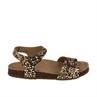 Braqeez 422412-513