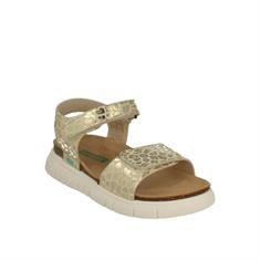 Bunnies Jr 223422 503 Nouga