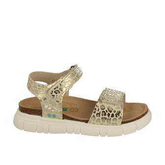 Bunnies Jr 223422 503 Nouga