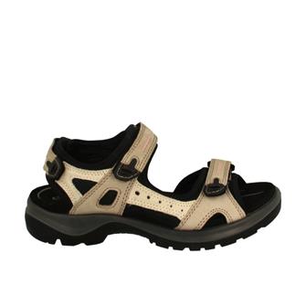 ECCO 069563 54695 ice