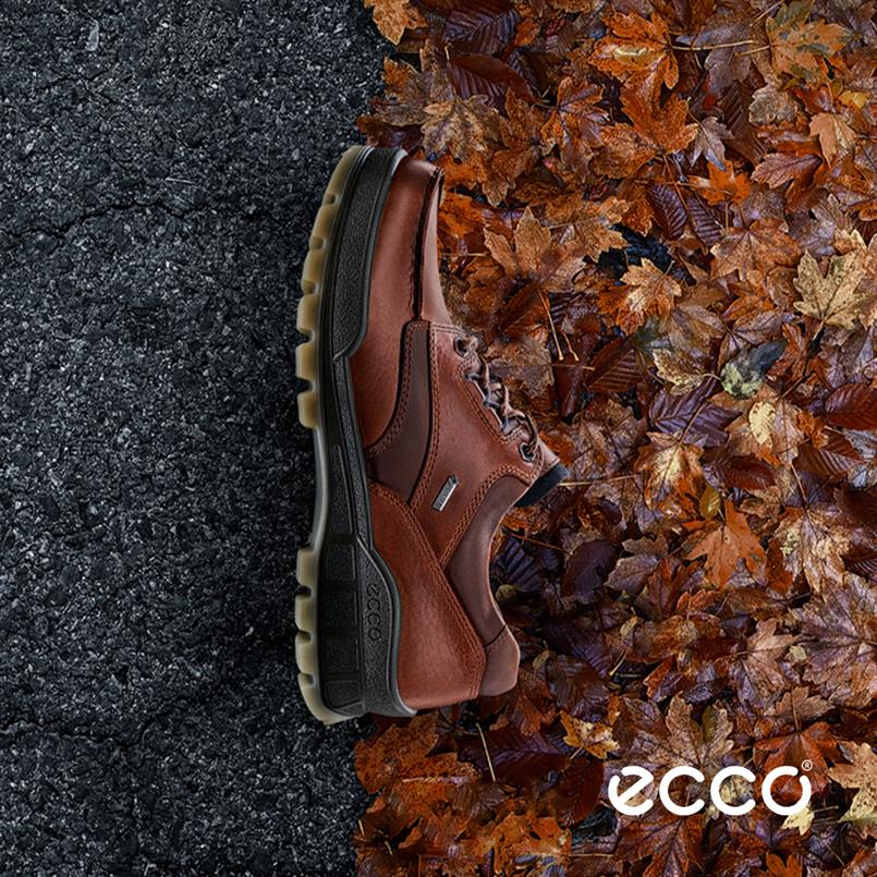 ECCO Track 831714 53010 Bison