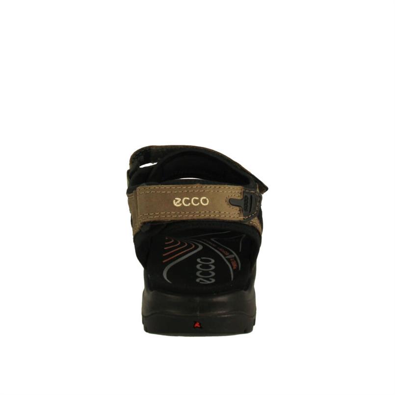 ECCO