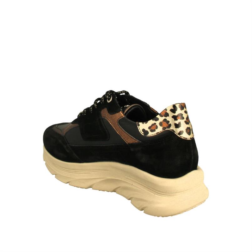 Footnotes 26.003