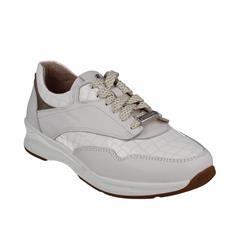 Footnotes PL32.007-6620