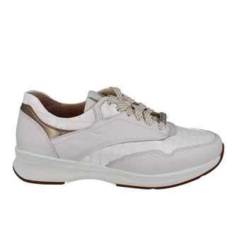 Footnotes PL32.007-6620