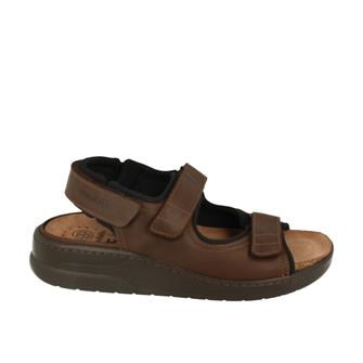 Mephisto Valden