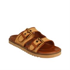 Mexx