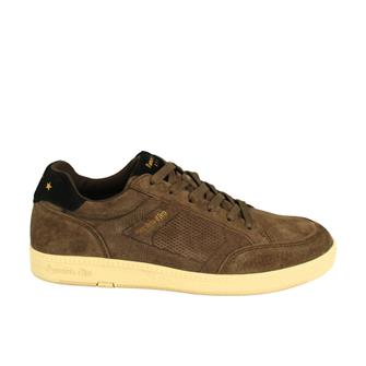 Pantofola d'Oro