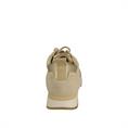 Paul Green 5392-077 Shell/Platino
