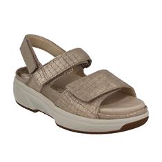 Xsensible 30700.5 Aruba 448 Sand