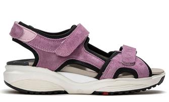 Xsensible Nikiti 30299.5.775 Lilac wijdte H